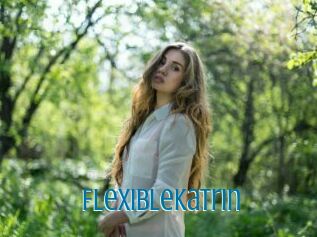FlexibleKatrin