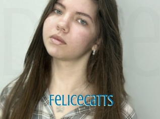 Felicecatts