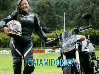 GATAMIDORIXX