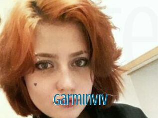 GarminViV