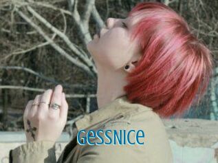 GessNice