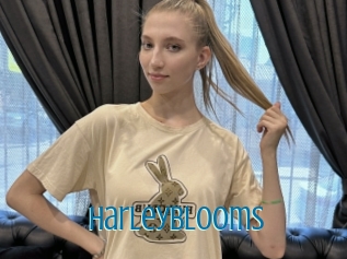 Harleyblooms
