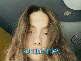 Hollisgarney