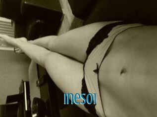Ines01