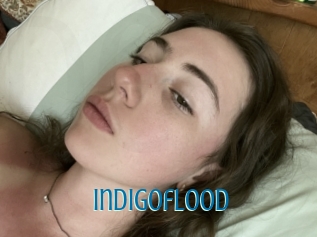 Indigoflood