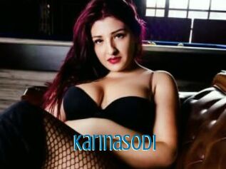 Karinasodi