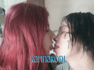 Karinakodi
