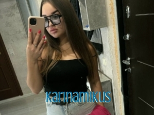Karinamikus