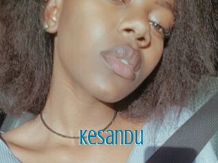 Kesandu