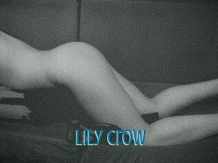 Lily_Crow