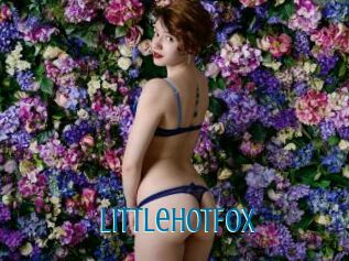 LittleHotFox