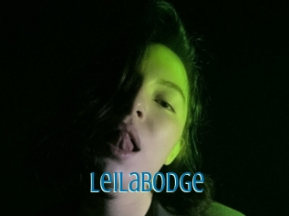 Leilabodge