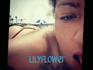 Lilyflower