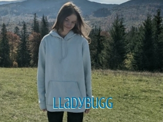 Lladybugg