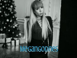 Megangodnes