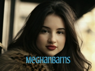 Meghanbarns