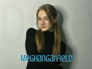 Meghangarfield
