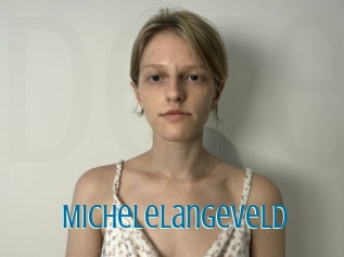Michelelangeveld