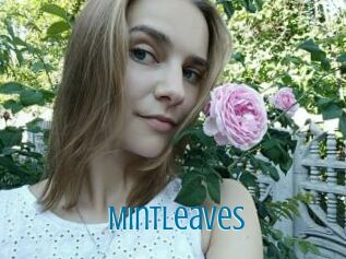 Mintleaves