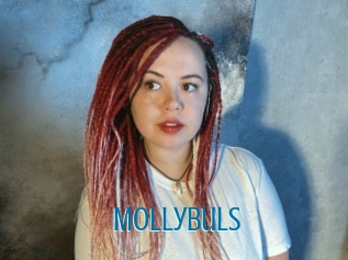 Mollybuls