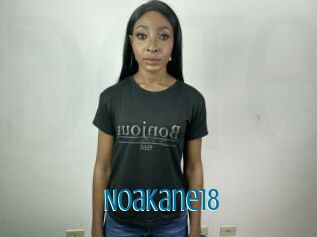 NoaKane18
