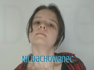 Nildachowanec