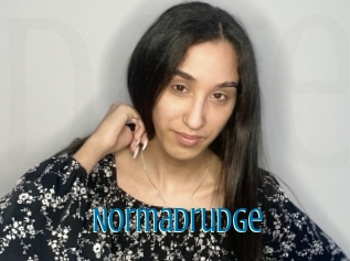 Normadrudge