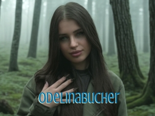 Odelinabucher