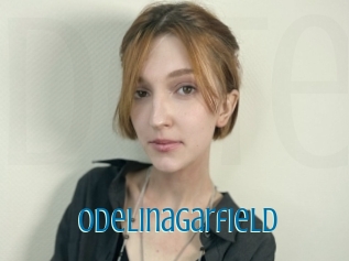 Odelinagarfield