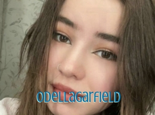 Odellagarfield