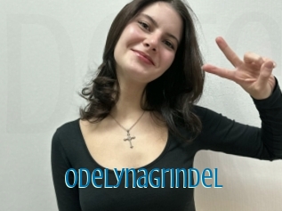 Odelynagrindel