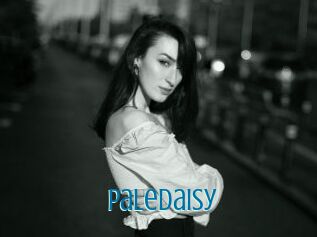PaleDaisy