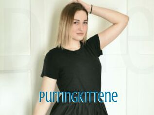 Purringkittene