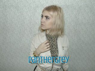 Panthergrey