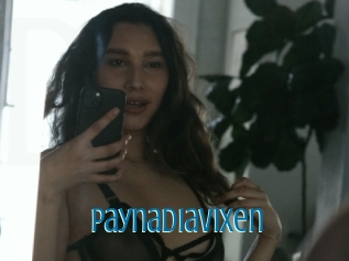 Paynadiavixen