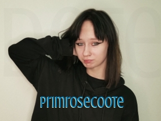 Primrosecoote