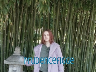 Prudencefigge