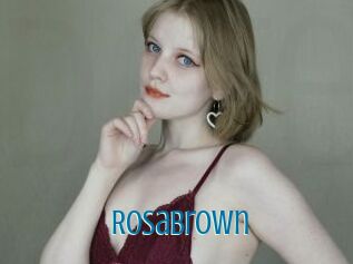 RosaBrown