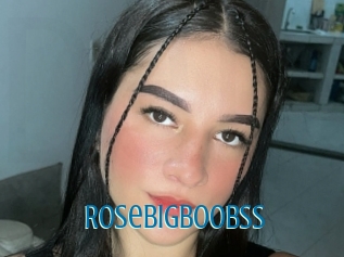 Rosebigboobss
