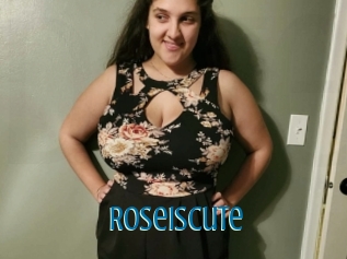 Roseiscute