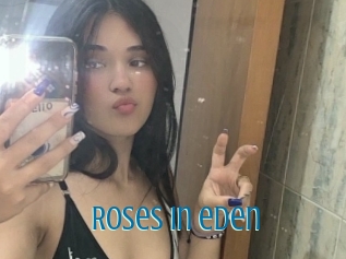 Roses_in_eden