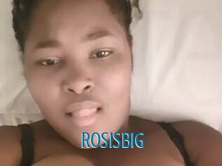 Rosisbig
