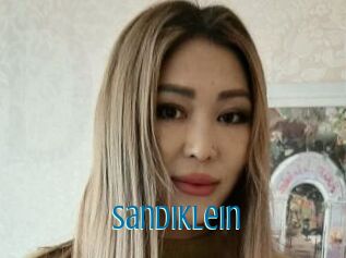 SandiKlein