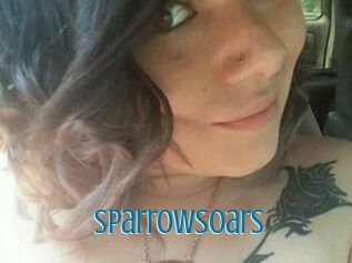 SparrowSoars