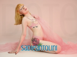 Sadieantolini