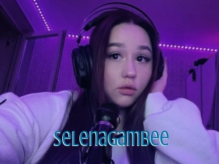 Selenagambee