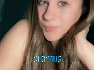 Shaybug