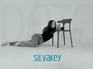 Silvakey