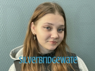 Silverbridgewate