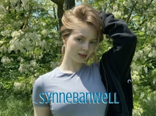 Synnebanwell